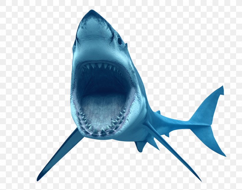 Great White Shark Clip Art, PNG, 1024x804px, Shark, Blacktip Reef Shark, Blue, Blue Shark, Carcharhinus Amblyrhynchos Download Free
