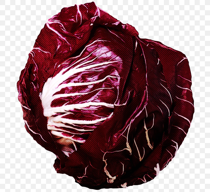 Red Cabbage Cabbage Red Radicchio Leaf Vegetable, PNG, 700x752px, Red Cabbage, Cabbage, Food, Leaf Vegetable, Maroon Download Free