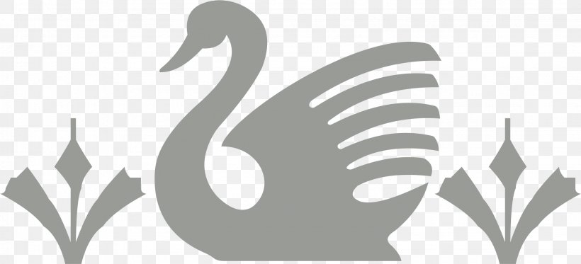 Duck Cygnini Bird Goose, PNG, 2247x1024px, Duck, Anatidae, Beak, Bird, Black And White Download Free