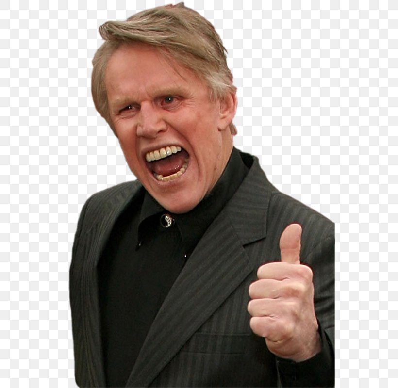 Gary Busey Black Sheep Musician, PNG, 560x800px, Gary Busey, Actor, Aggression, Art, Black Sheep Download Free