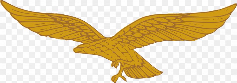 Golden Eagle German Air Force Golden Eagle Clip Art, PNG, 2000x704px, Eagle, Accipitriformes, American Gold Eagle, Animal, Beak Download Free