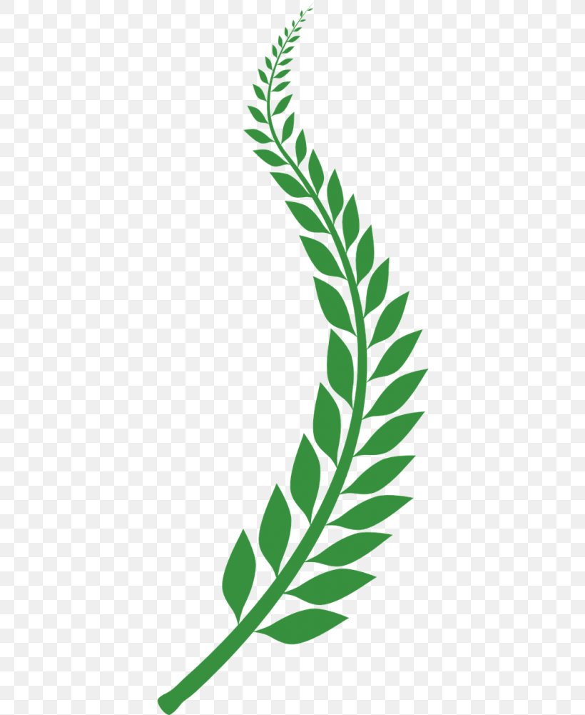 Green Leaf Background, PNG, 383x1001px, Bay Laurel, Green, Laurel Wreath, Leaf, Plant Download Free