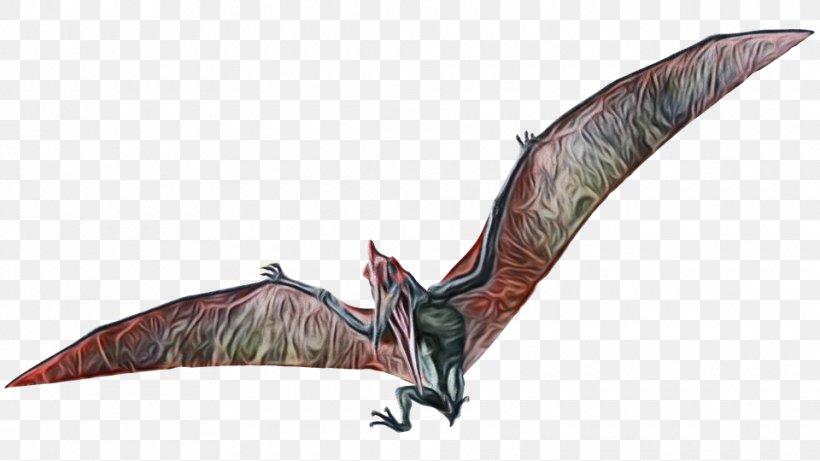 Bat Cartoon, PNG, 960x540px, Pteranodon, Baryonyx, Bat, Dinosaur, Dragon Download Free