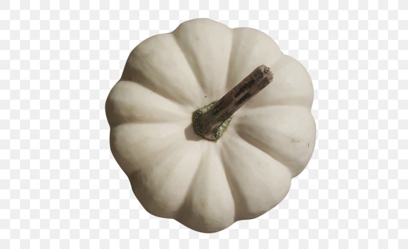 Patty Pan Cucurbita Maxima Winter Squash Recipe Zubereitung, PNG, 500x500px, Patty Pan, Cucumber Gourd And Melon Family, Cucurbita, Cucurbita Maxima, Flower Download Free