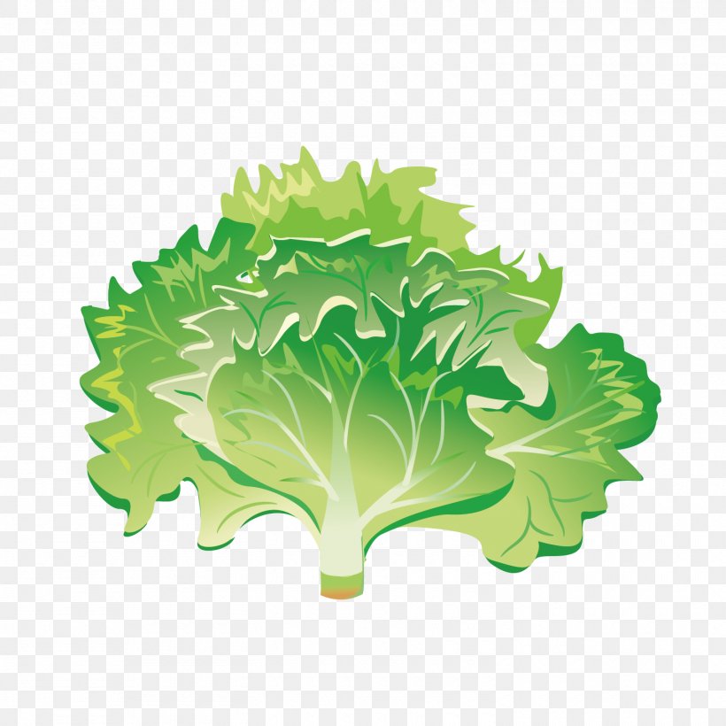 Vegetable Greens Salad Image Iceberg Lettuce, PNG, 1500x1500px, Vegetable, Cabbage, Fruit, Greens, Iceberg Lettuce Download Free