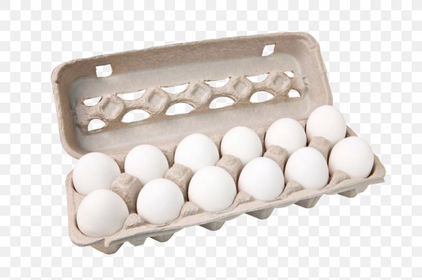 Egg Carton Stock Photography Chicken, PNG, 849x565px, Egg Carton, Carton, Chicken, Dozen, Egg Download Free
