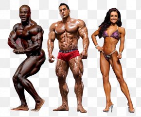 Bodybuilding Images Bodybuilding Transparent Png Free Download Images, Photos, Reviews