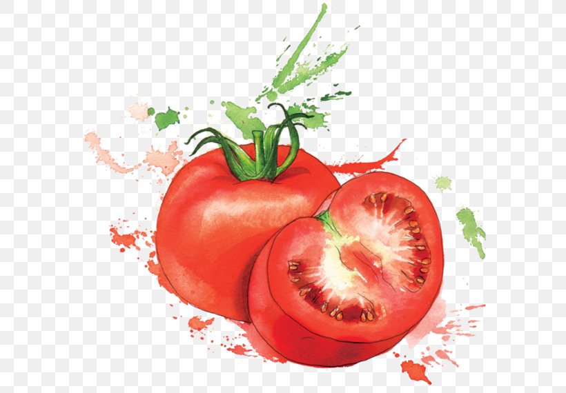 Organic Food Watercolor Painting Vegetable, PNG, 600x570px, Organic Food, Apple, Art, Bush Tomato, Diet Food Download Free