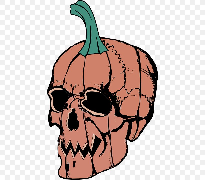 Pumpkin, PNG, 444x720px, Head, Bone, Forehead, Plant, Pumpkin Download Free