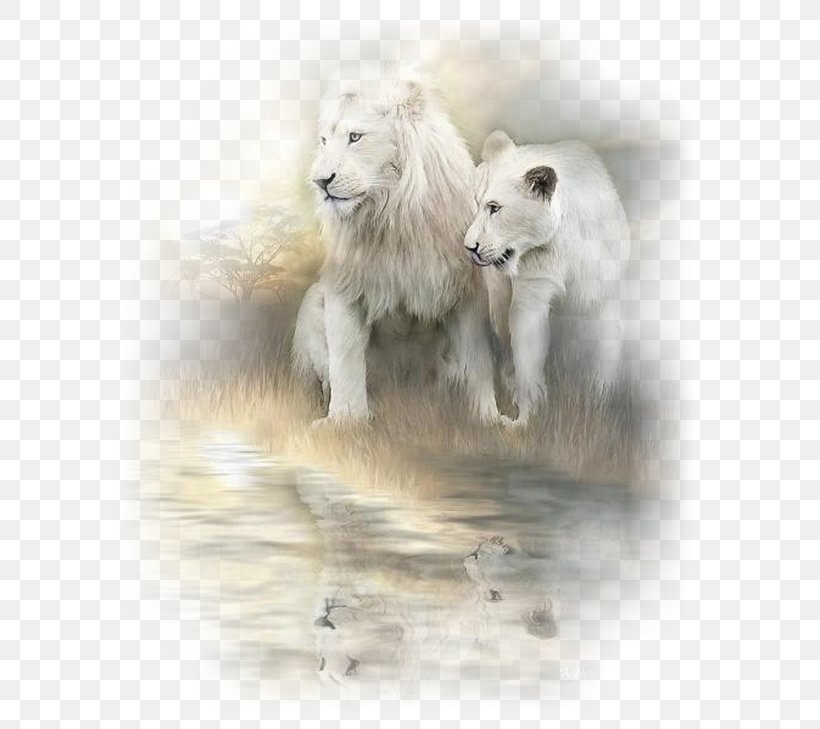White Lion Painting Cat Art, PNG, 600x729px, Lion, Animal, Art, Art Museum, Artist Download Free