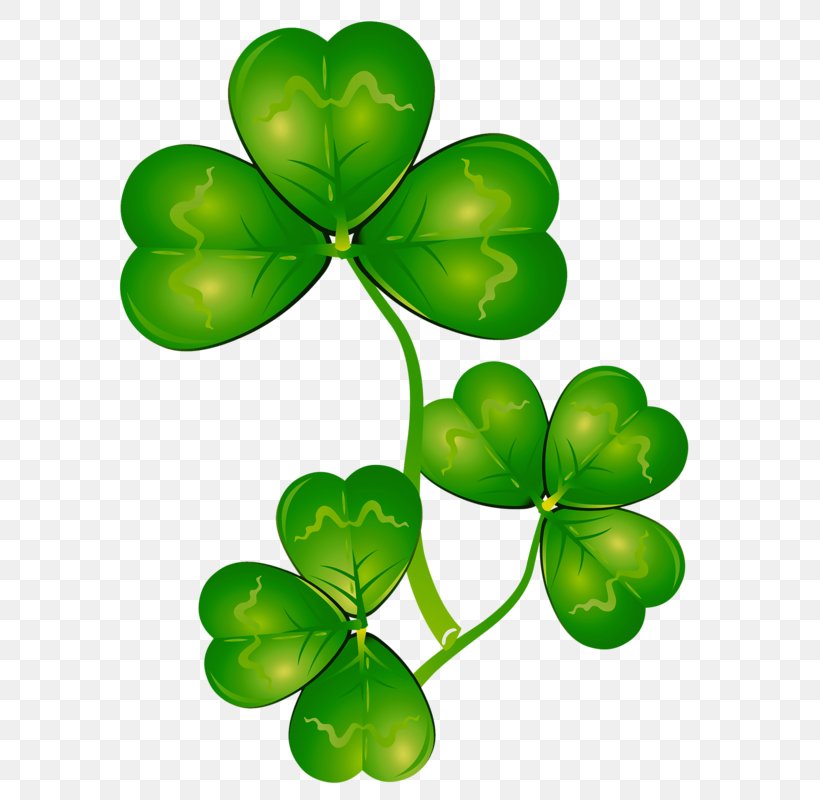 Four-leaf Clover Shamrock Clip Art, PNG, 597x800px, Clover, Branch, Flowering Plant, Fourleaf Clover, Green Download Free