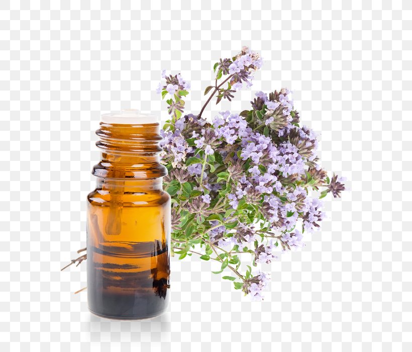 Linalool Garden Thyme Herb Pianta Aromatica Oil, PNG, 700x700px, Linalool, Bottle, Chief Executive, Essential Oil, Flavor Download Free