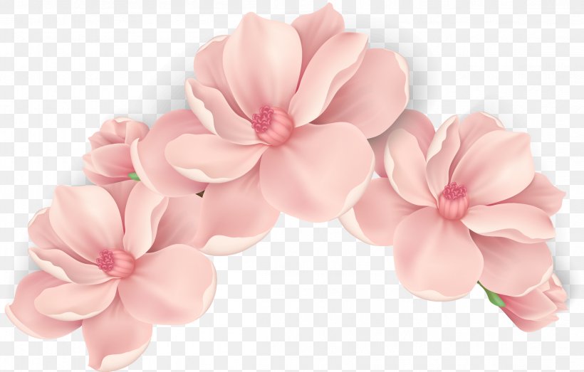 Pink Flowers Pink Flowers Png 2302x1471px Flower Blossom Cherry Blossom Color Cut Flowers Download Free
