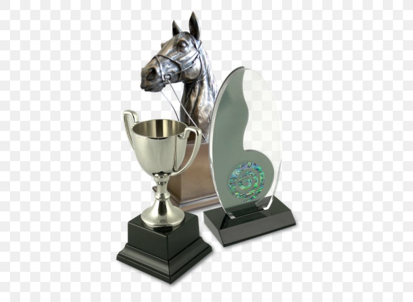 Shepton Mallet Trophy Award British Gymnastics Radstock, PNG, 530x600px, Shepton Mallet, Award, Birthday, British Gymnastics, Competition Download Free