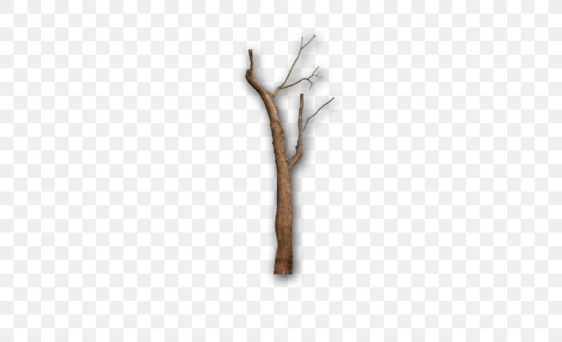 Gray Tree Twig Branch, PNG, 500x500px, Gray Tree, Branch, Grey, Tree, Twig Download Free