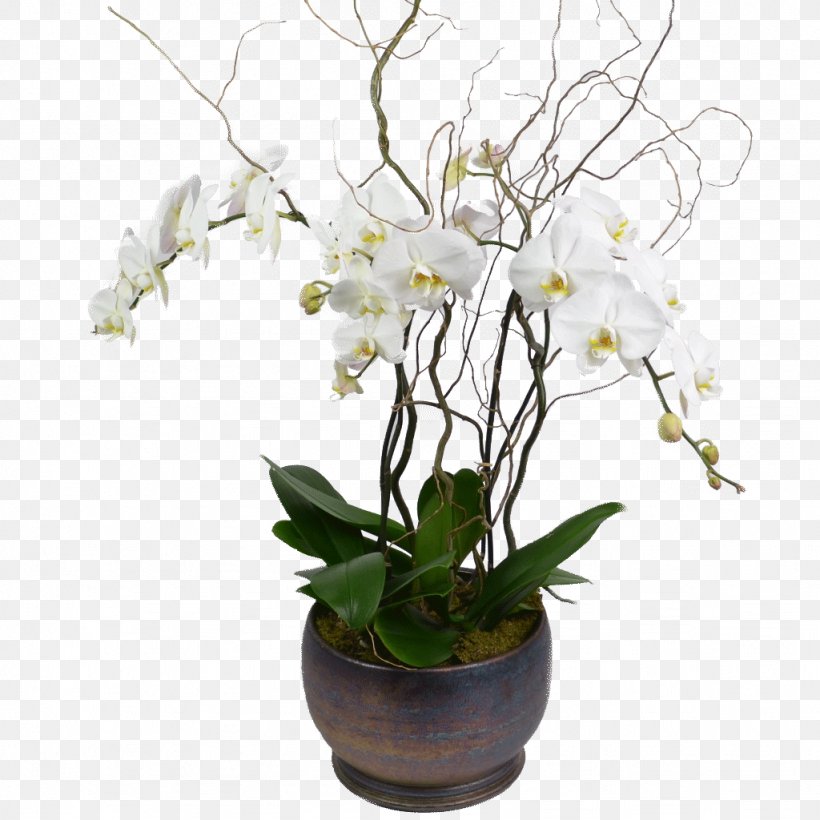 Artificial Flower Vase Floristry Floral Design, PNG, 1024x1024px, Flower, Amaryllis, Artificial Flower, Branch, Cut Flowers Download Free