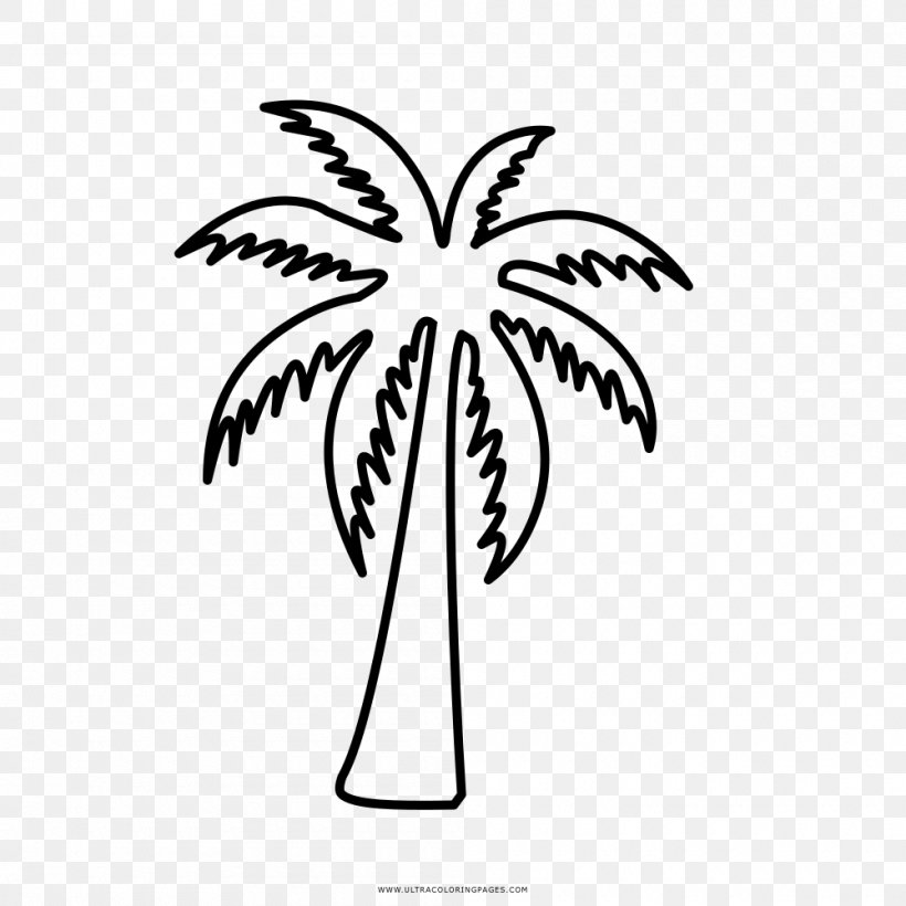 Coloring Book Drawing Black And White Line Art Clip Art, PNG, 1000x1000px, Coloring Book, Area, Arecaceae, Artwork, Black And White Download Free