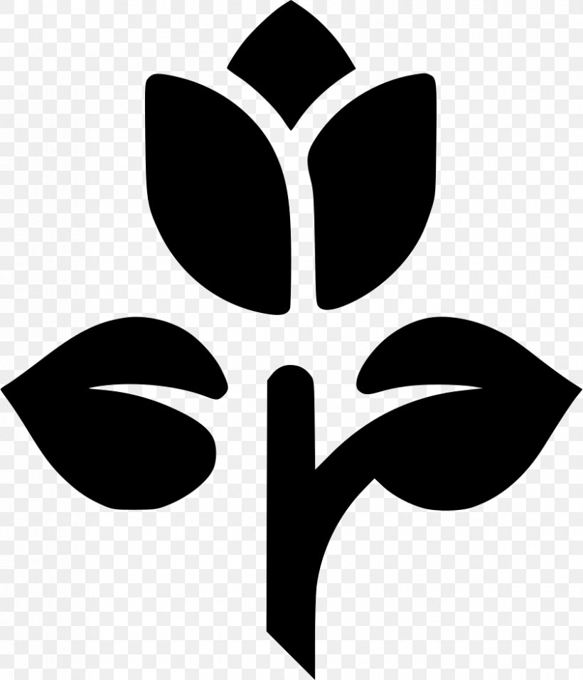 Clip Art, PNG, 840x980px, Stock Photography, Black And White, Cdr, Flower, Leaf Download Free