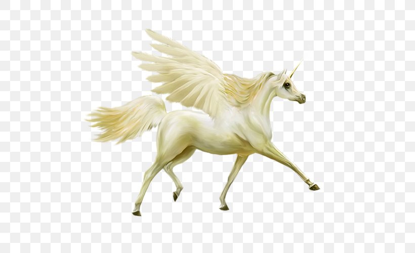 Howrse Unicorn Horse Pegasus, PNG, 600x500px, Howrse, Cabinet Of Curiosities, Fictional Character, Horn, Horse Download Free