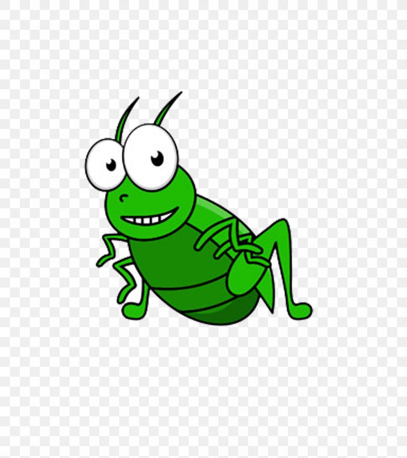 Insect Field Cricket Grasshopper Clip Art, PNG, 1000x1128px, Insect, Amphibian, Animation, Art, Cartoon Download Free
