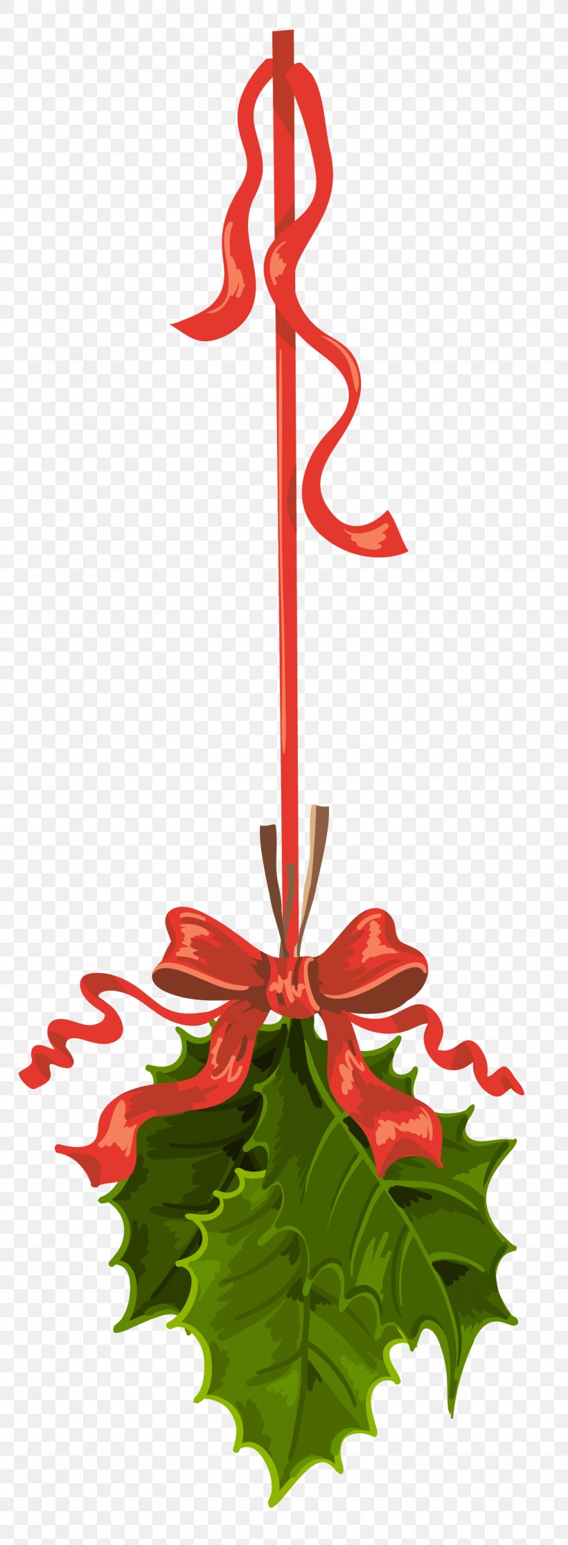 Mistletoe Phoradendron Tomentosum Clip Art, PNG, 1670x4540px, Mistletoe, Branch, Christmas, Christmas Decoration, Christmas Ornament Download Free