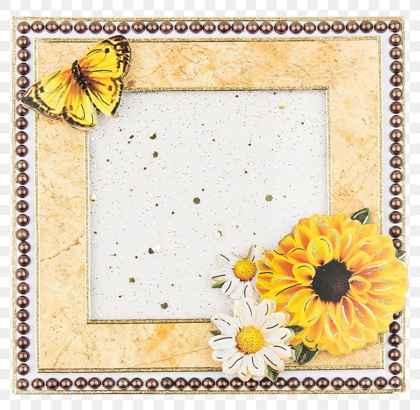 Paper Floral Design Picture Frames Sunflower M, PNG, 800x800px, Paper, Border, Flora, Floral Design, Flower Download Free