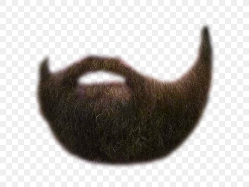 Beard Moustache Facial Hair Face, PNG, 618x618px, Beard, Carnivoran, Cat, Cat Like Mammal, Claw Download Free
