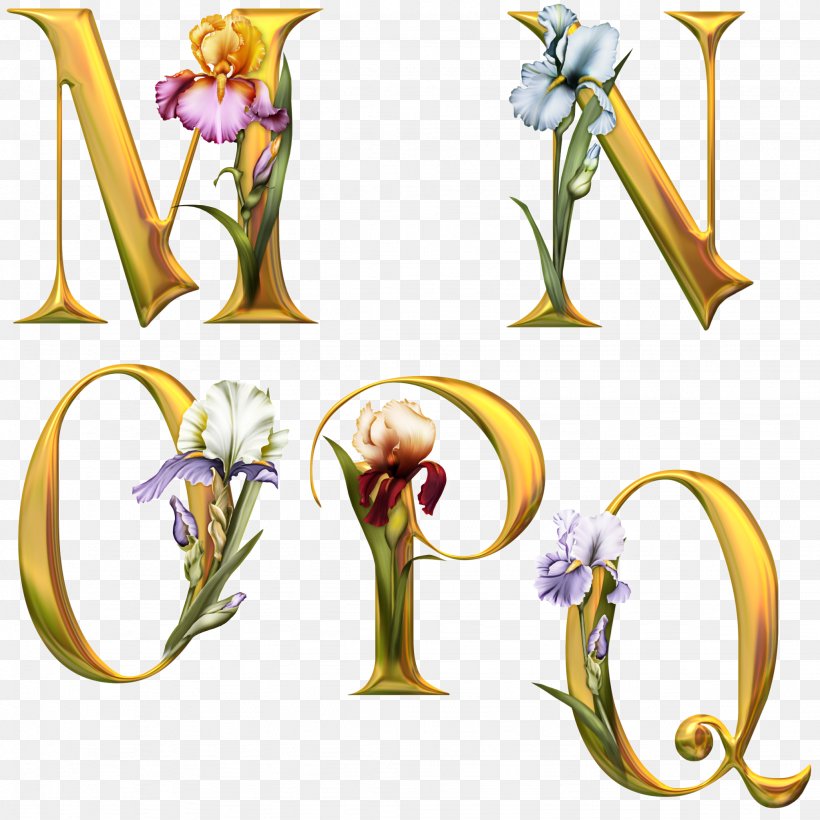 Clip Art Flower Plant Wildflower, PNG, 2048x2048px, Flower, Plant, Wildflower Download Free