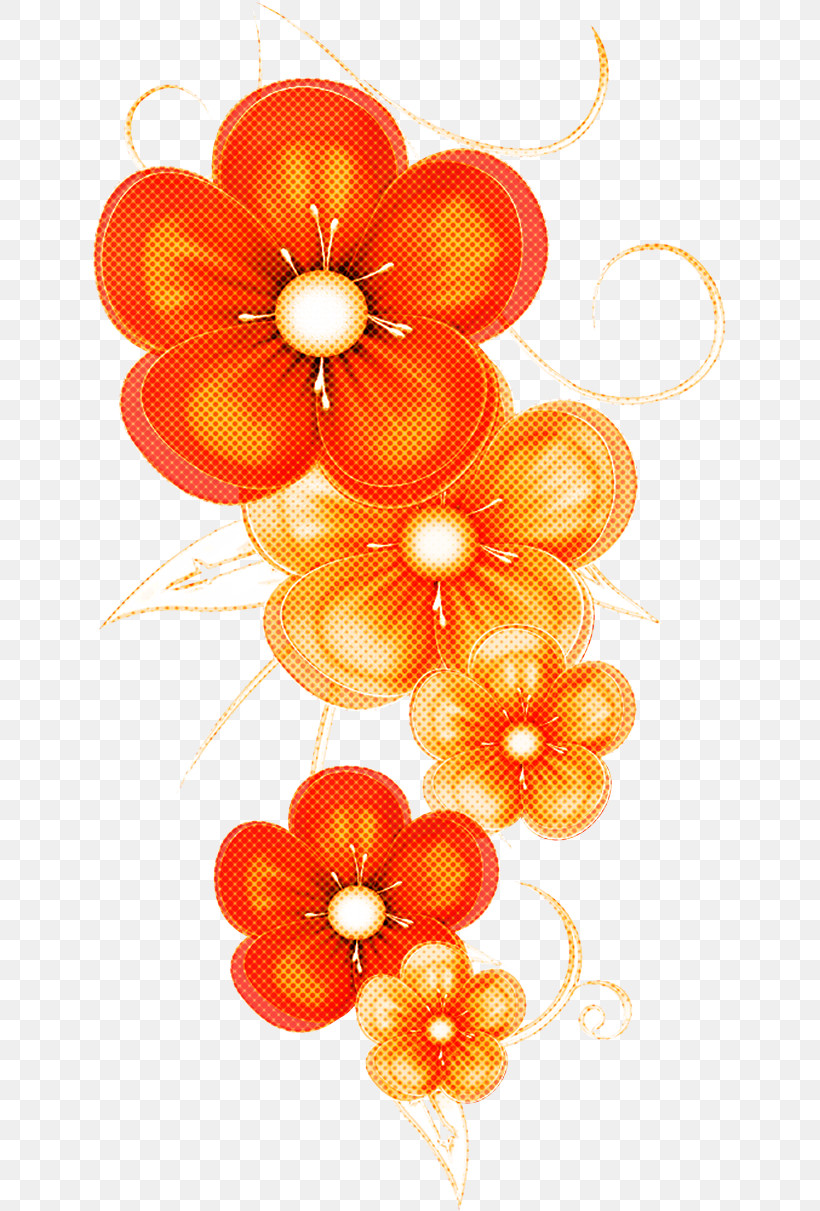 Orange, PNG, 635x1211px, Orange, Cut Flowers, Flower, Petal, Plant Download Free