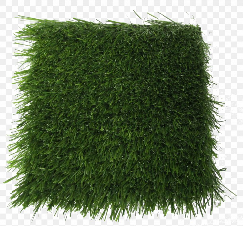 Product Lawn Polyethylene Field Olive Artificial Turf, PNG, 1440x1339px, Lawn, Artificial Turf, Flooring, Foam, Grass Download Free