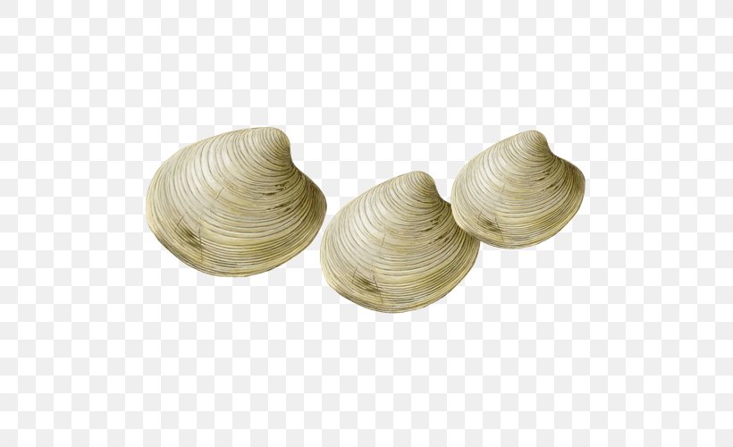Steamed Clams Seafood Watch Shellfish, PNG, 500x500px, Clam, Clams Oysters Mussels And Scallops, Fish, Hard Clam, National Organic Program Download Free