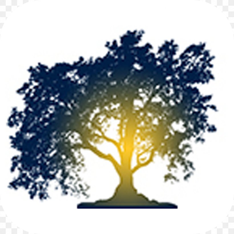 Certified Arborist Branch Tree Web Design, PNG, 1024x1024px, Arborist, Branch, Certified Arborist, Company, Ecommerce Download Free