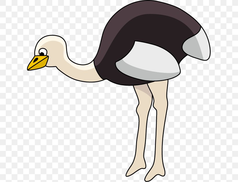Common Ostrich Flightless Bird Clip Art, PNG, 633x627px, Common Ostrich, Beak, Bird, Bitmap, Cartoon Download Free