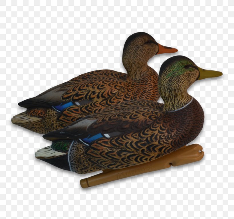 Mallard Duck Decoy Waterfowl Hunting, PNG, 768x768px, Mallard, Beak, Bird, Decoy, Duck Download Free