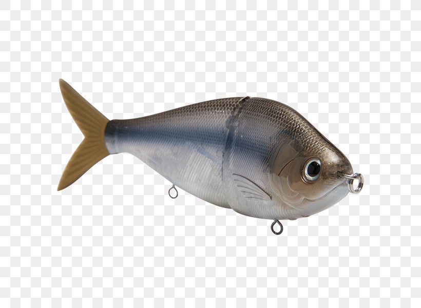 Plug Swimbait Fishing Baits & Lures, PNG, 600x600px, Plug, Bony Fish, Dorosoma, Fish, Fishing Download Free