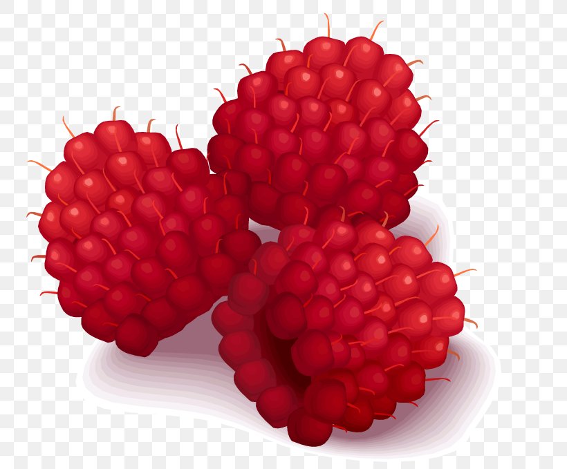 Raspberry Clip Art, PNG, 750x679px, Raspberry, Accessory Fruit, Berry, Black Raspberry, Blackberry Download Free