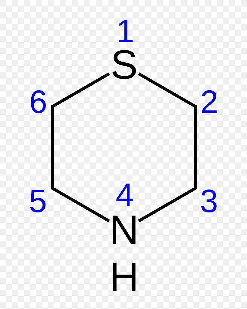Thiomorpholine Amine Piperidine Heterocyclic Compound, PNG, 742x1024px, Morpholine, Amine, Area, Butyramide, Chemical Compound Download Free