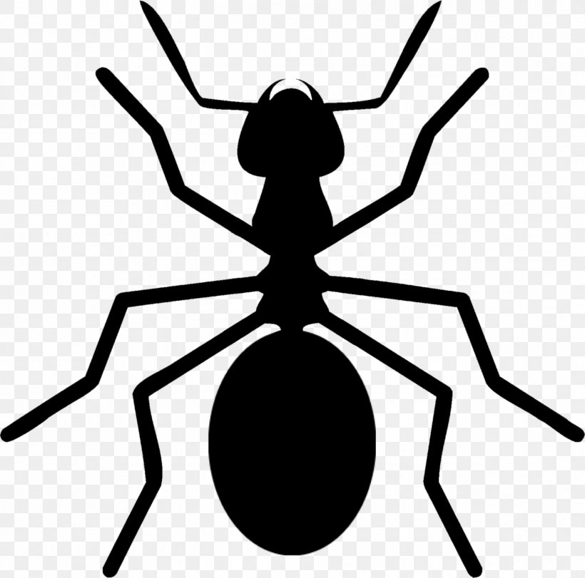 Ant Insect Download License Clip Art, PNG, 1293x1280px, Ant, Animal, Ant Colony, Arthropod, Artwork Download Free