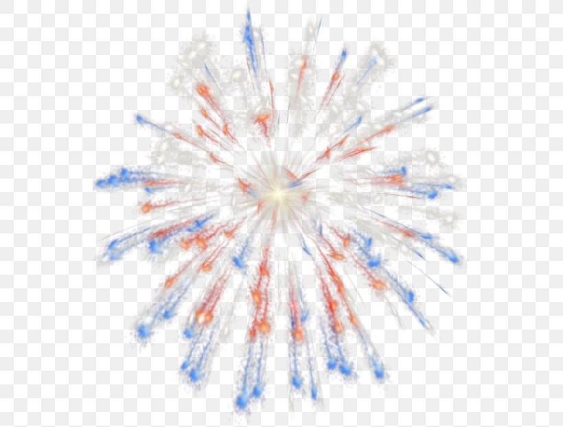 Fireworks Clip Art, PNG, 550x622px, Fireworks, Animation, Blue, Independence Day, Information Download Free