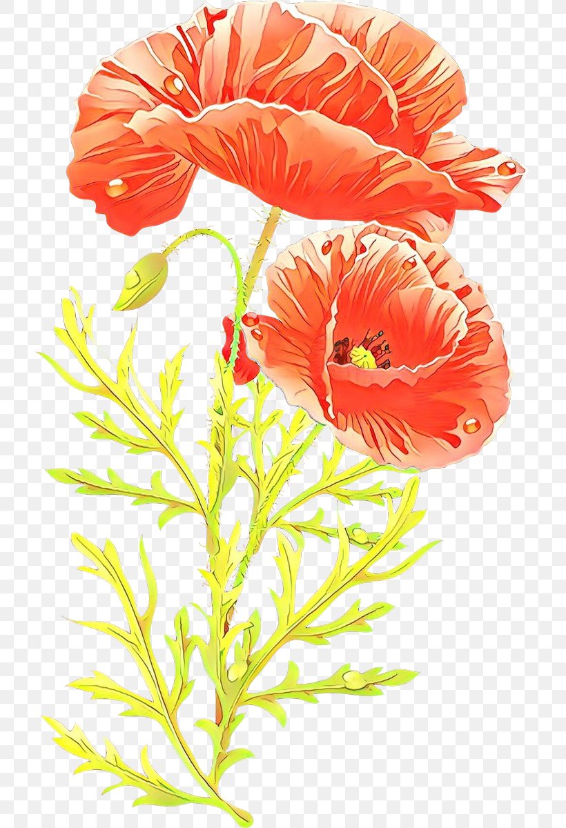 Flower Cut Flowers Plant Petal Flowering Plant, PNG, 715x1200px, Cartoon, Coquelicot, Corn Poppy, Cut Flowers, Flower Download Free