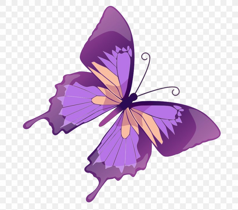 Butterfly Royalty-free Photography Clip Art, PNG, 948x837px, Butterfly, Arthropod, Brush Footed Butterfly, Color, Flower Download Free