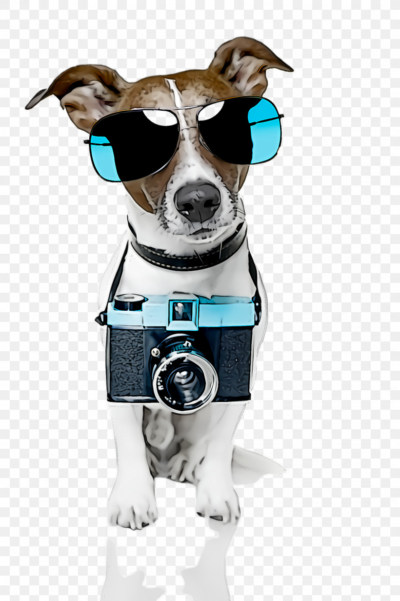 Dog Cartoon Snout Leash Collar, PNG, 1632x2452px, Dog, Cartoon, Collar, Feist, Leash Download Free