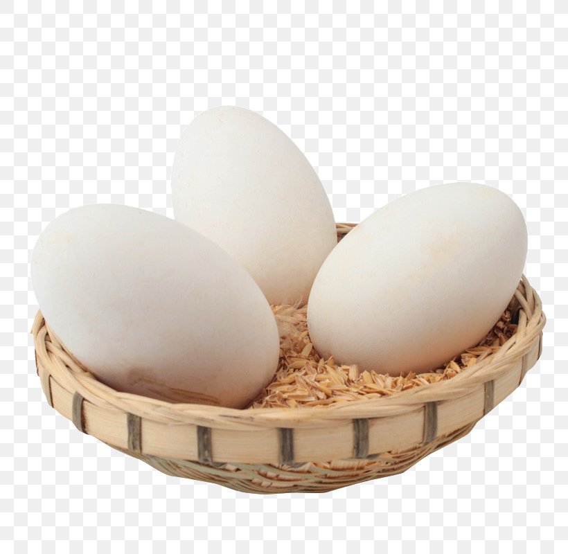 Domestic Goose Egg Chicken Common Ostrich Free Range, PNG, 800x800px, Domestic Goose, Alibaba Group, Chicken, Chicken Egg, Common Ostrich Download Free