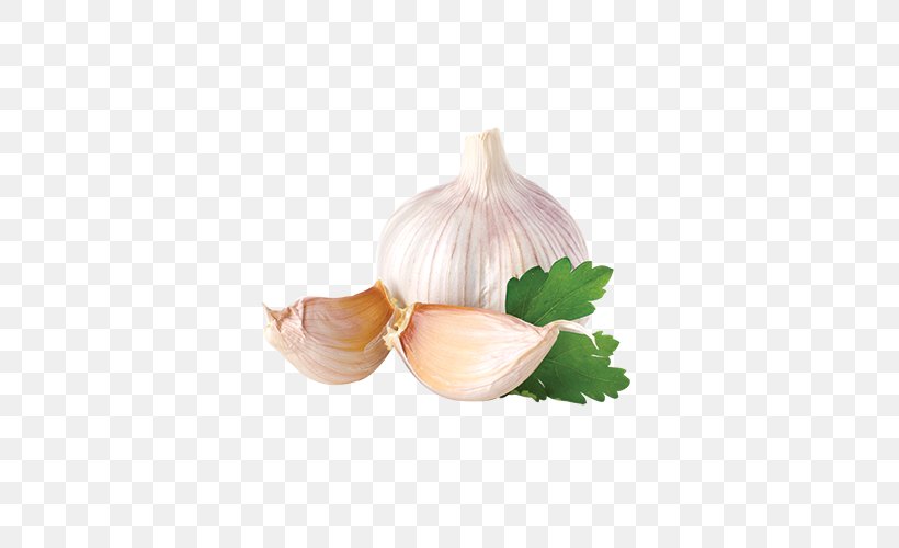 Garlic Spice Herb Food Mincing, PNG, 600x500px, Garlic, Clove, Cooking, Flavor, Food Download Free
