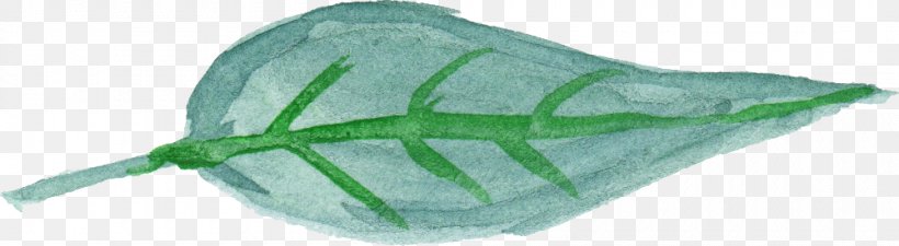 Leaf Watercolor Painting Green, PNG, 1000x275px, Leaf, Blue, Green, Maple Leaf, Organism Download Free