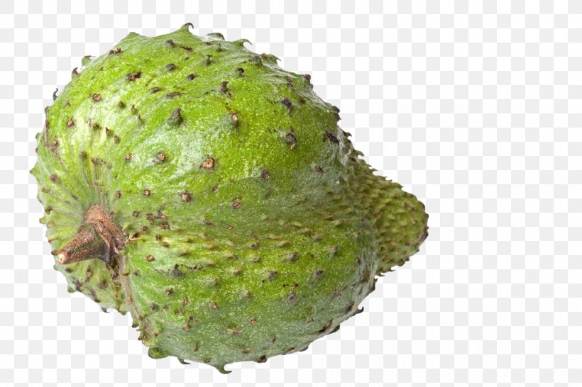 Soursop Sugar Apple Fruit Sugar-apple Photography, PNG, 1000x666px, Soursop, Annona, Auglis, Food, Fruit Download Free