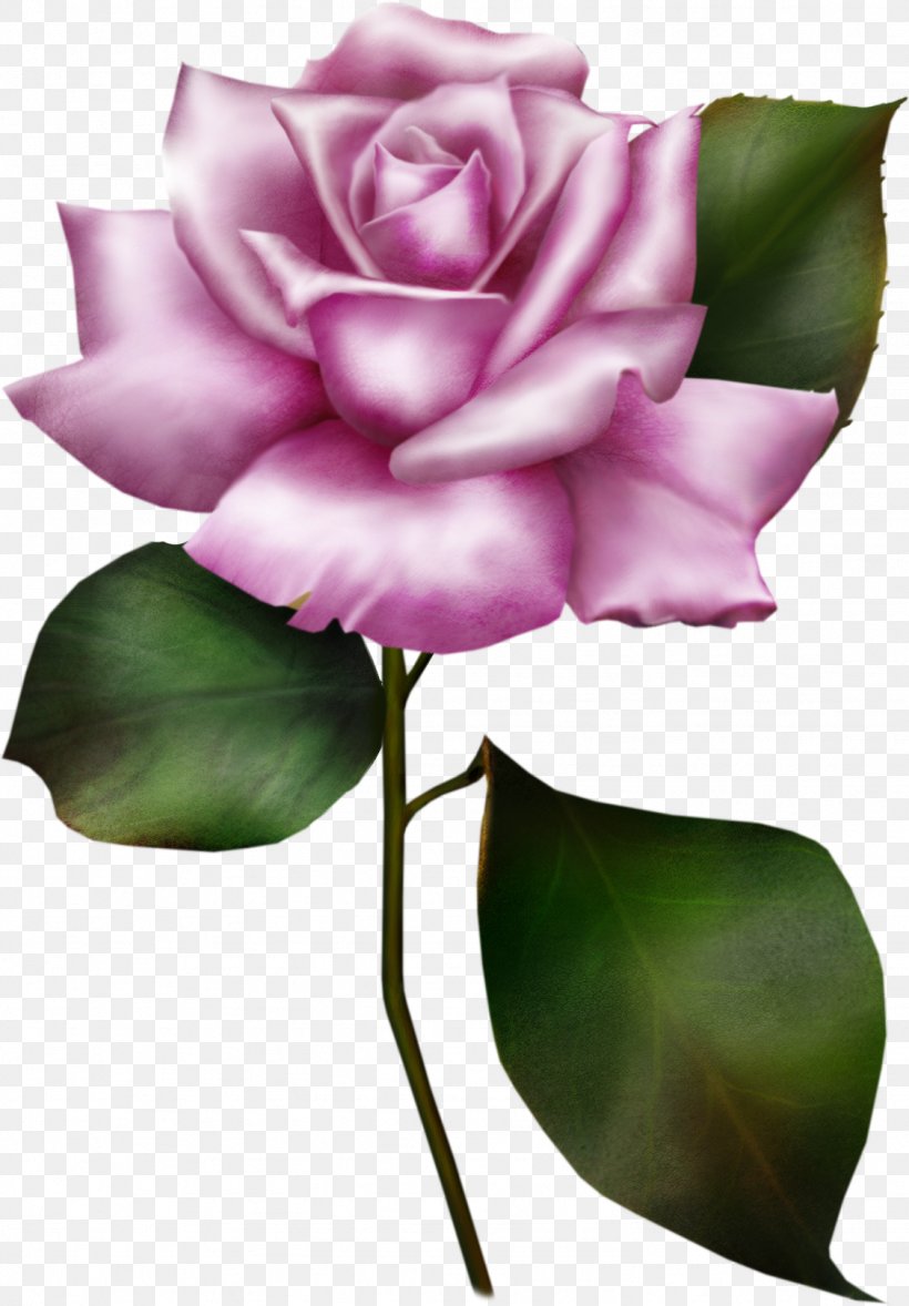Wedding Invitation Flower Rose Clip Art, PNG, 1127x1620px, Wedding Invitation, Blue Rose, Bud, Cut Flowers, Flora Download Free