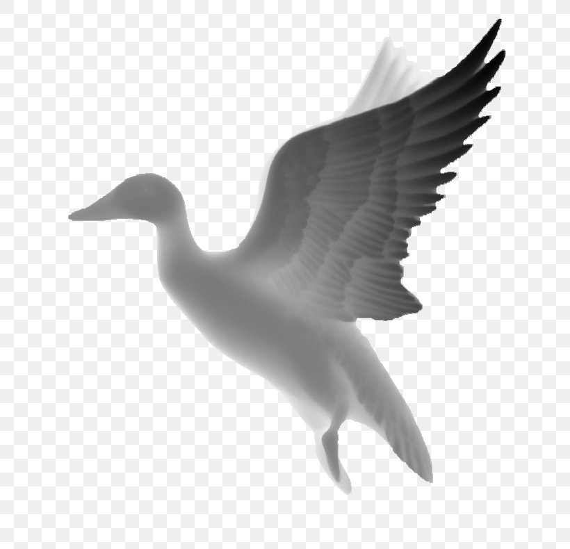 Black And White Grayscale Relief Carving, PNG, 654x790px, Black And White, Beak, Bird, Bitmap, Carving Download Free
