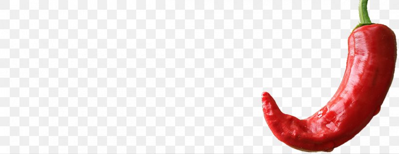 Chili Pepper Bell Pepper Cayenne Pepper Red, PNG, 1200x464px, Chili Pepper, Bell Pepper, Bell Peppers And Chili Peppers, Black Pepper, Capsicum Download Free