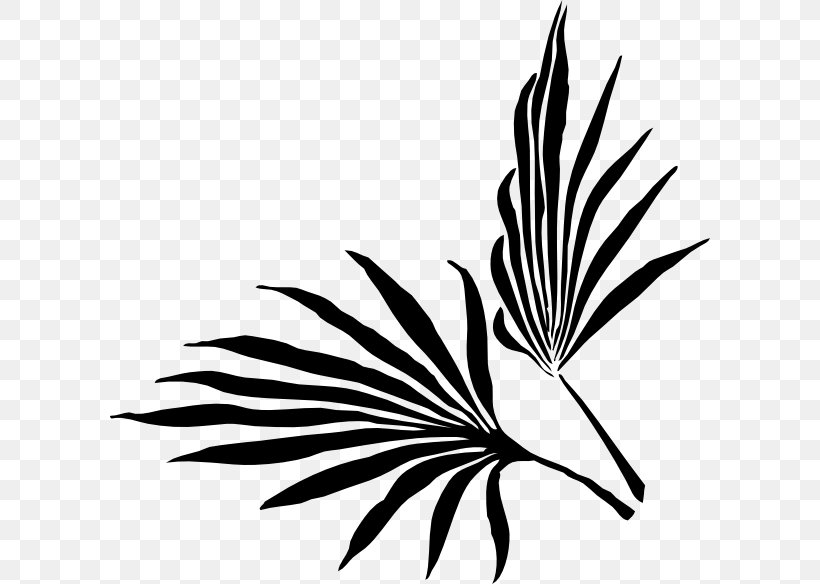 Palm Branch Arecaceae Palm Sunday Palm-leaf Manuscript Clip Art, PNG, 600x584px, Palm Branch, Arecaceae, Beak, Bird, Black And White Download Free